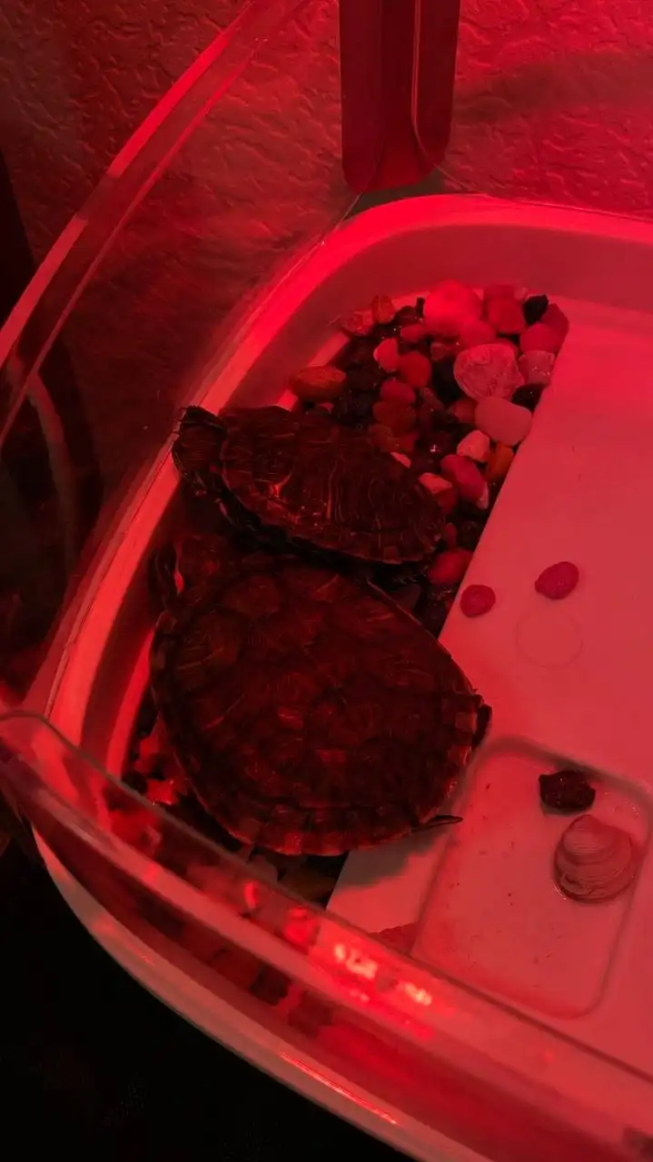 Продажа товара в Санкт-Петербурге - Барахолка в Санкт-Петербург