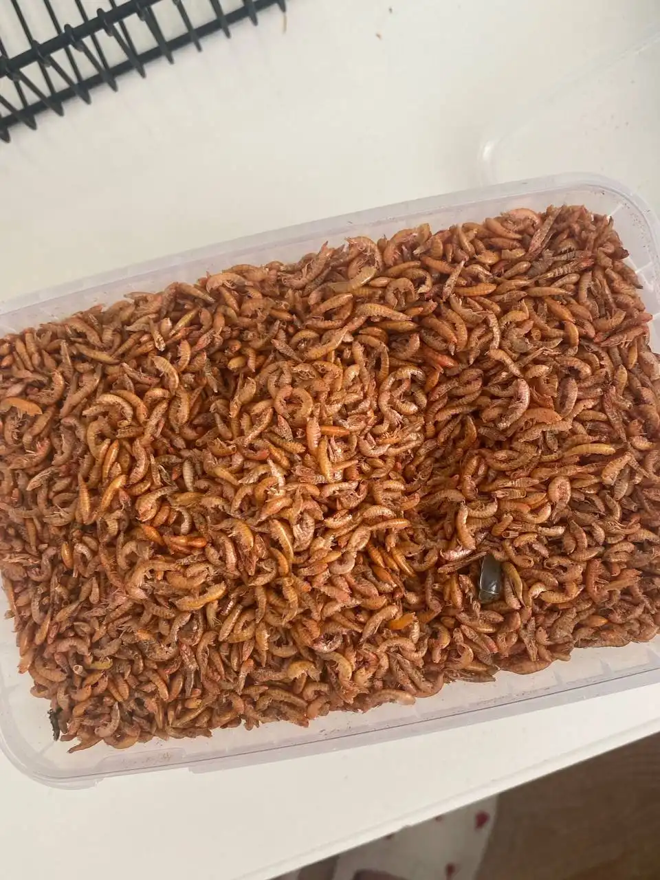 Продажа товара в Санкт-Петербурге - Барахолка в Санкт-Петербург