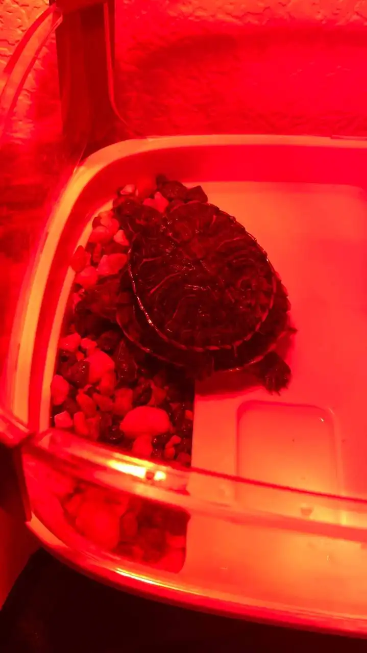 Продажа товара в Санкт-Петербурге - Барахолка в Санкт-Петербург