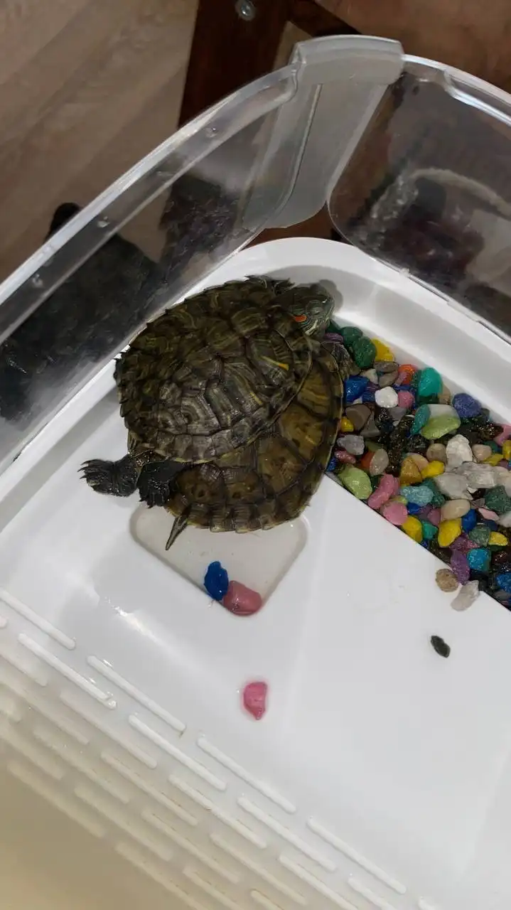 Продажа товара в Санкт-Петербурге - Барахолка в Санкт-Петербург