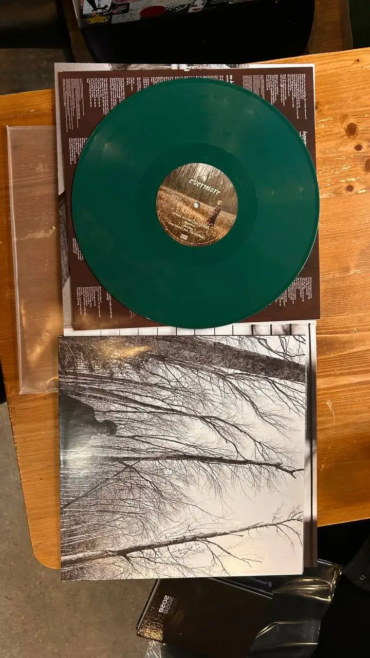 Продажа виниловых пластинок из личной коллекции - Виниловые пластинки (Барахолка) в Санкт-Петербург