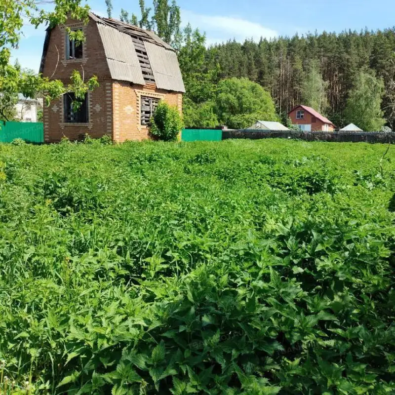 Участок 9 соток с домом в Московской области - Земельные участки (Недвижимость) в Рассвет