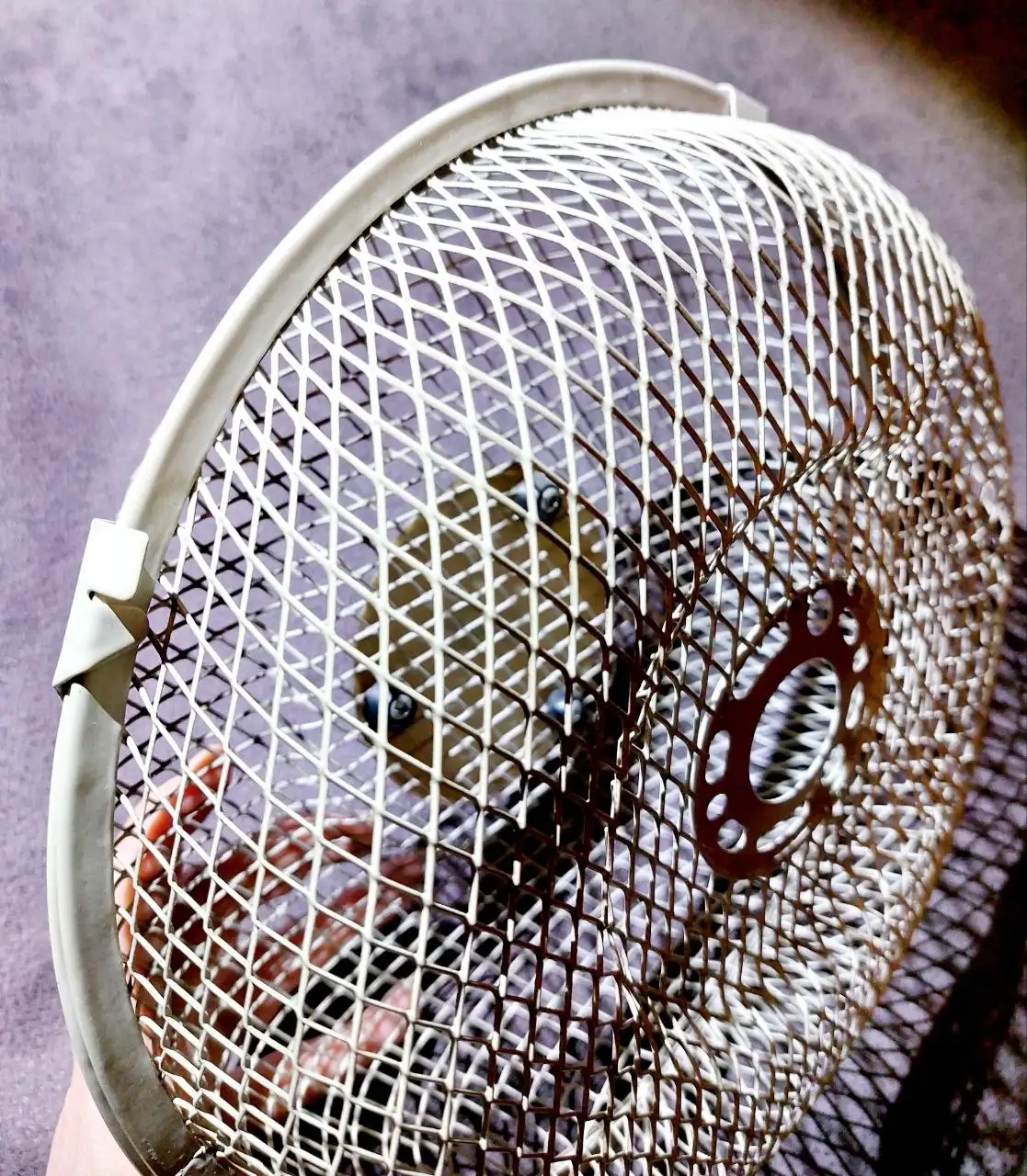 Защитная сетка решетка для вентилятора Delonghi - Барахолка в Санкт-Петербург