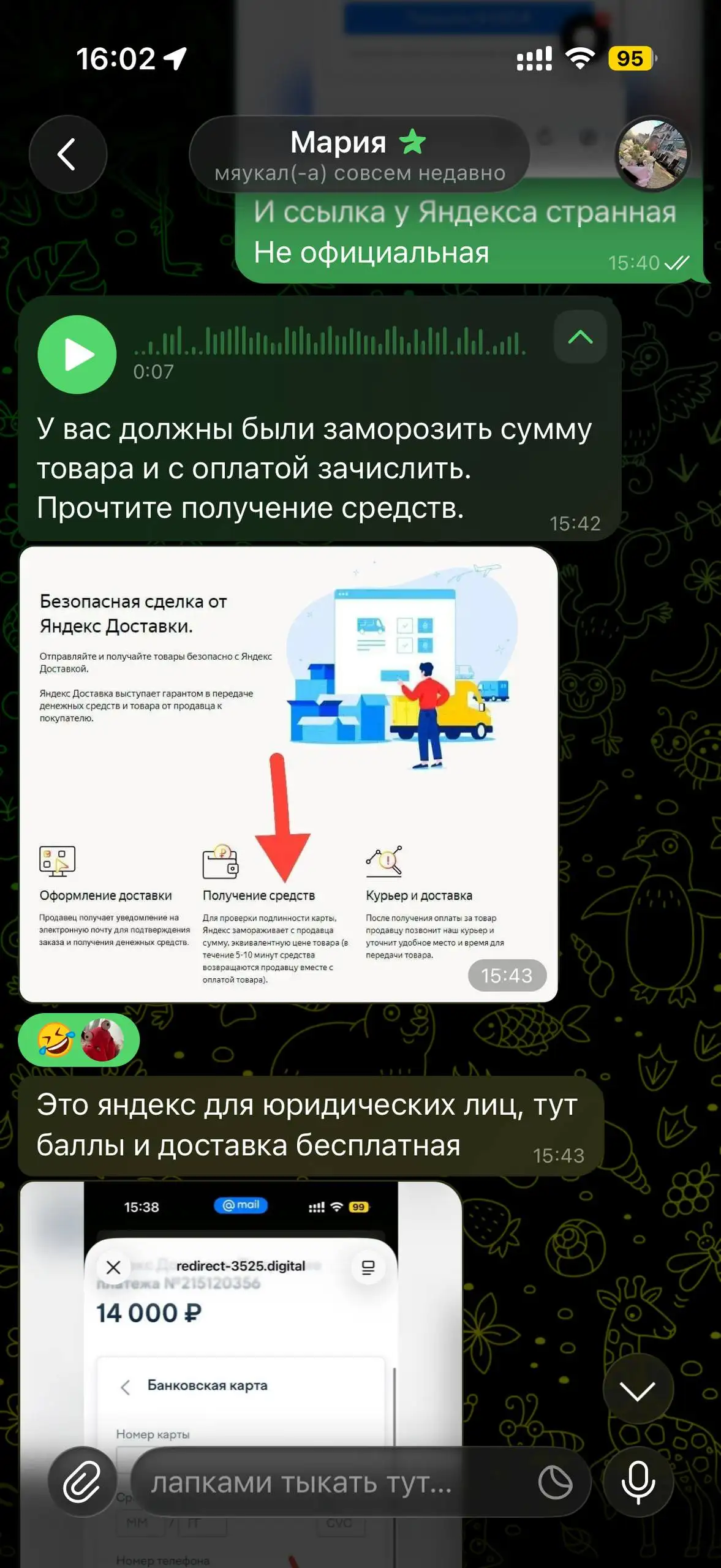 Осторожно: мошенница - Барахолка в Санкт-Петербург