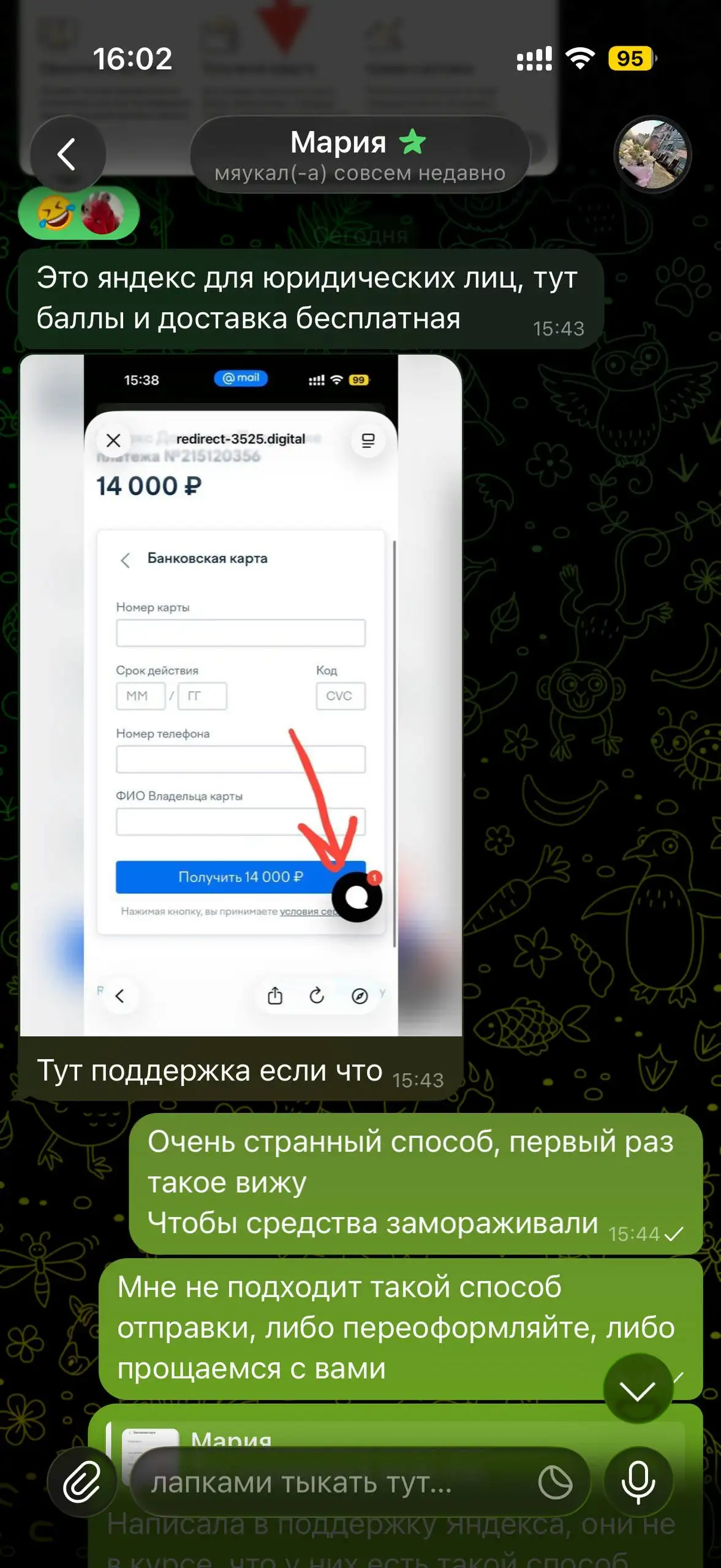 Осторожно: мошенница - Барахолка в Санкт-Петербург