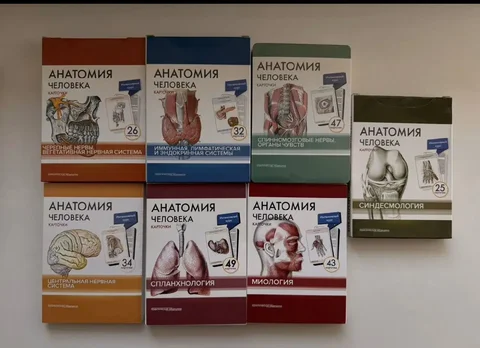 Продам карточки по анатомии - Барахолка в Санкт-Петербург