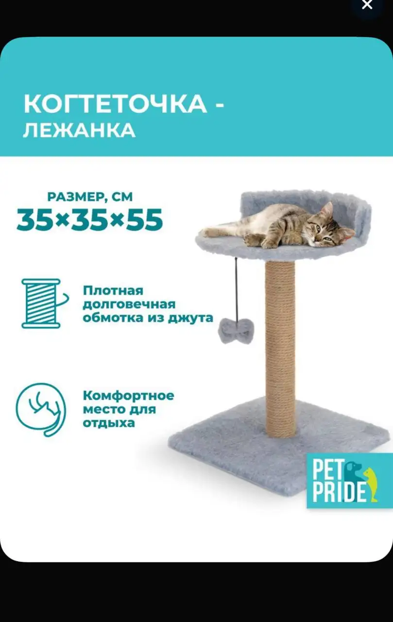 Когтеточка серая и с домиком - Товары для животных (Хобби и отдых) в Санкт-Петербург
