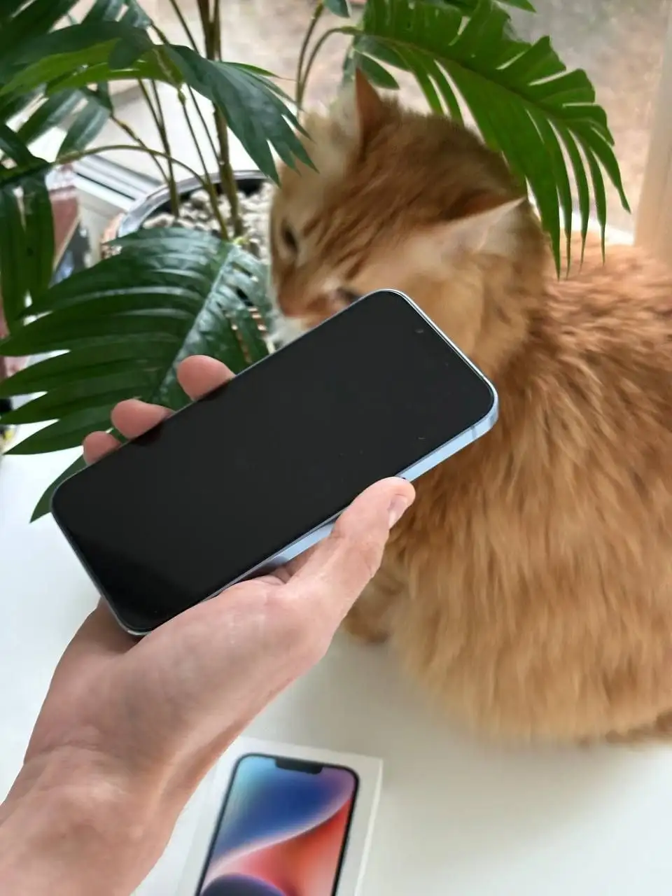 iPhone 14 128GB blue - Смартфоны и планшеты (Электроника) в Санкт-Петербург