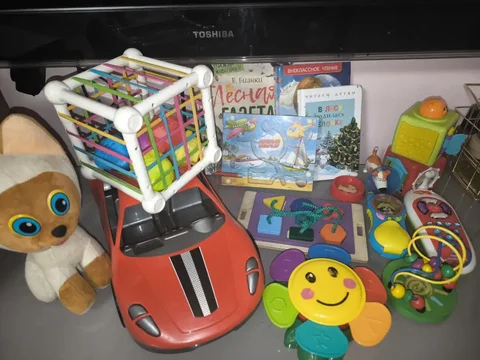 Детские игрушки и книги для детей от 1 года - частное объявление в Некрасовка, Люберцы