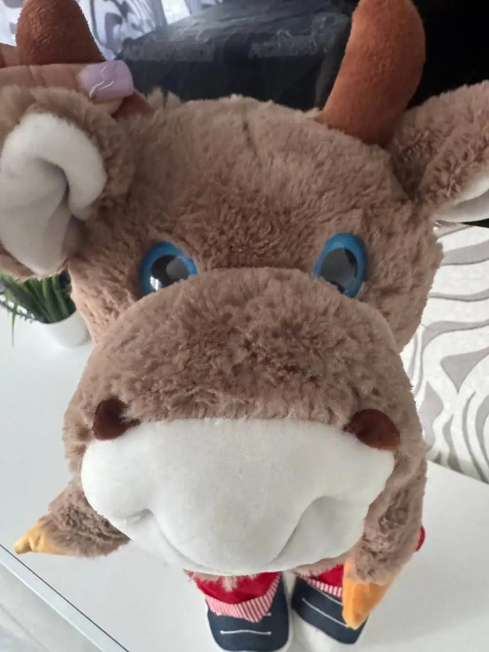 Рюкзак бычок новый - Рюкзаки (Товары для детей) в Люберцы