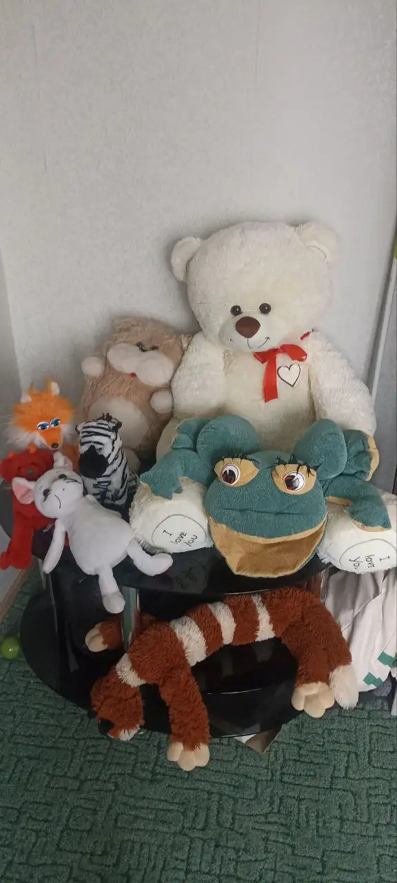 Распродажа мягких игрушек - Барахолка в Некрасовка, Люберцы