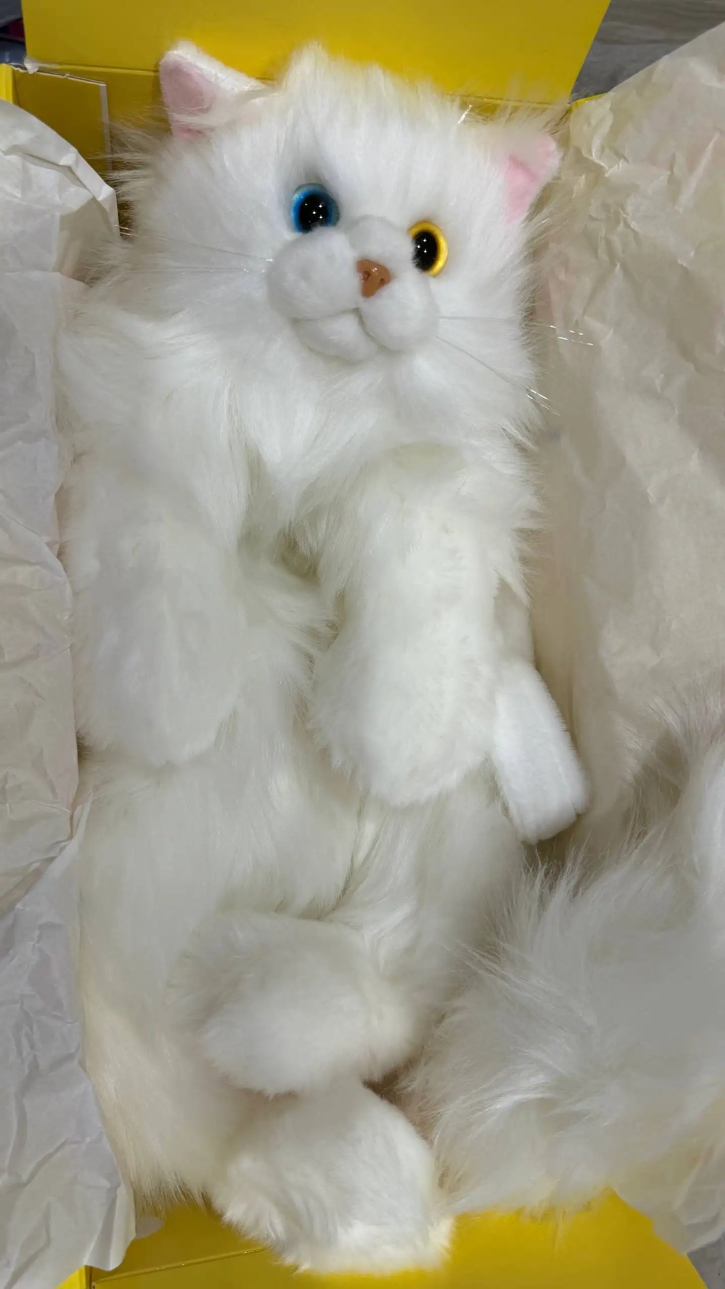 Новый рюкзак в виде кота - Рюкзаки (Барахолка) в Люберцы