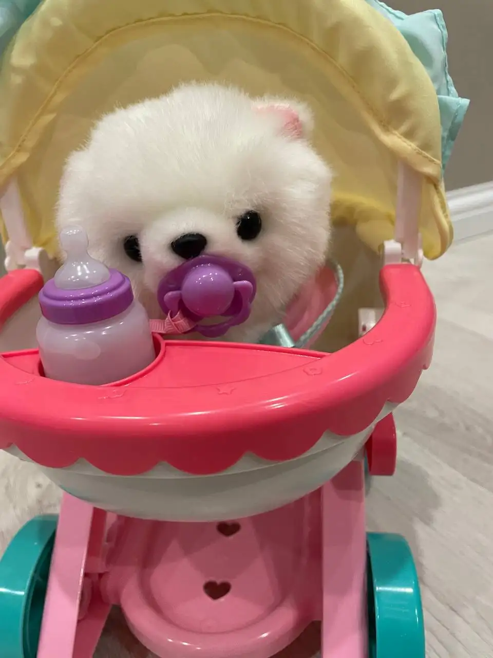 Игрушка интерактивная Mimi Pet Shop Щенок Лили в коляске - Интерактивные игрушки (Товары для детей) в Люберцы