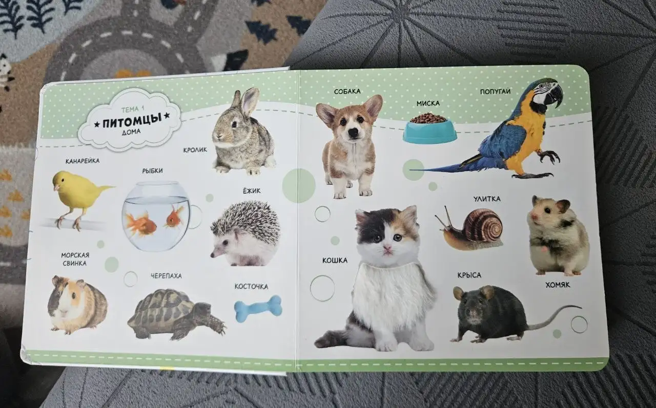 Тактильная фотокнига с неисправным звуком - Развивающие игрушки (Товары для детей) в Люберцы