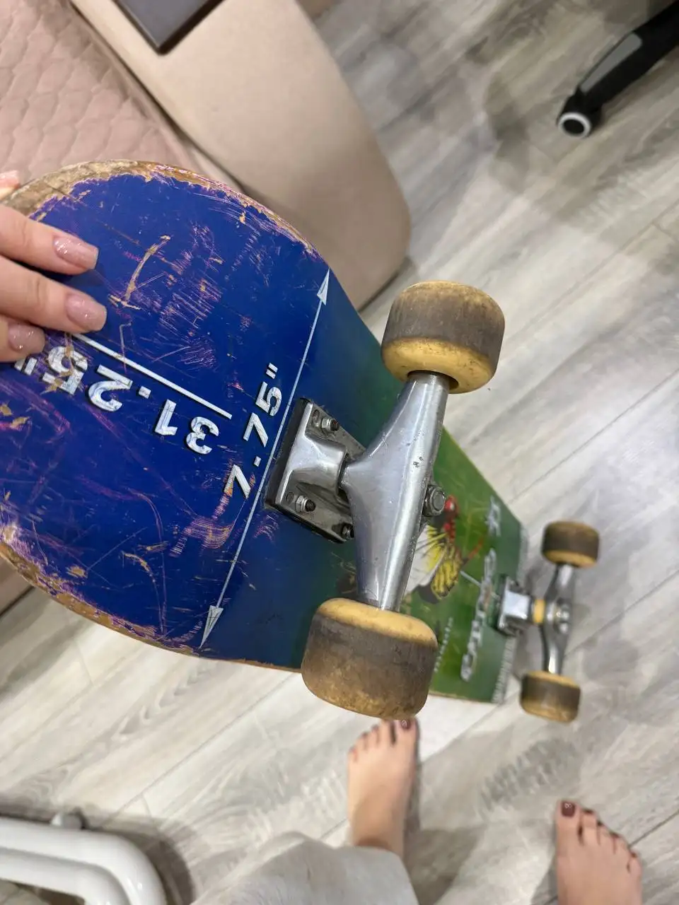 Скейтборд бесплатно - Скейтборды (Хобби и отдых) в Люберцы