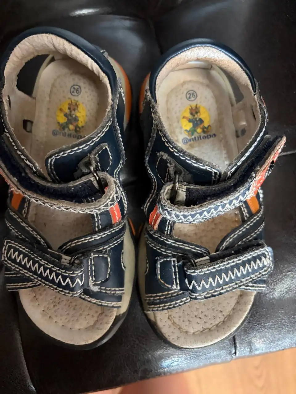 Кода антилопа - отдам за 1 кг апельсинов - Барахолка в Люберцы