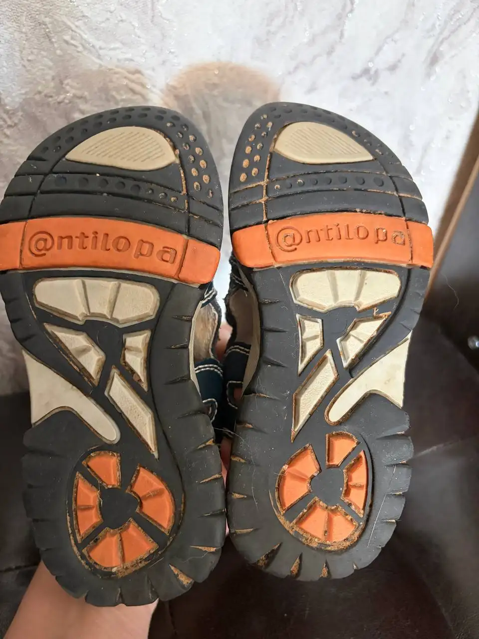 Кода антилопа - отдам за 1 кг апельсинов - Барахолка в Люберцы