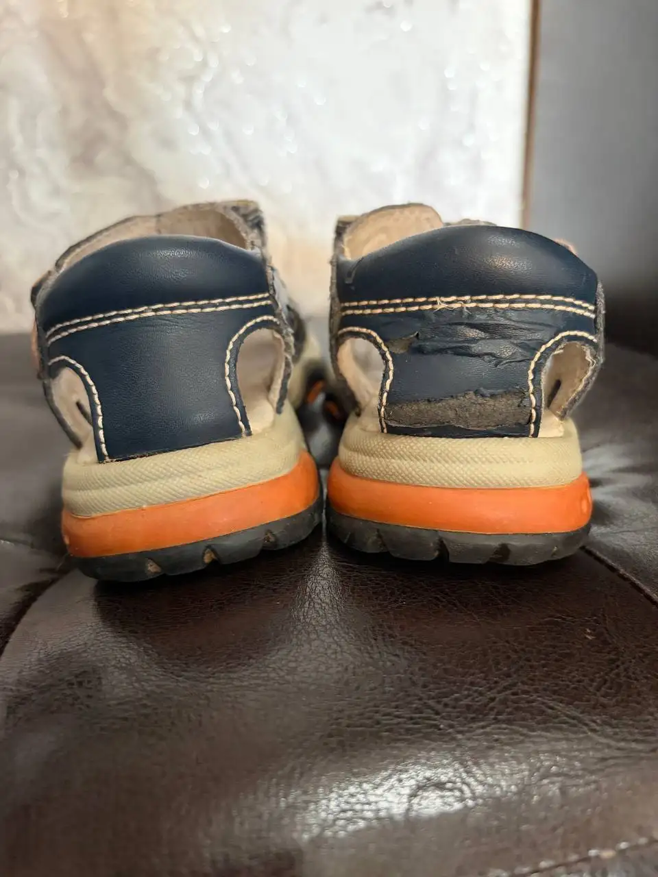 Кода антилопа - отдам за 1 кг апельсинов - Барахолка в Люберцы