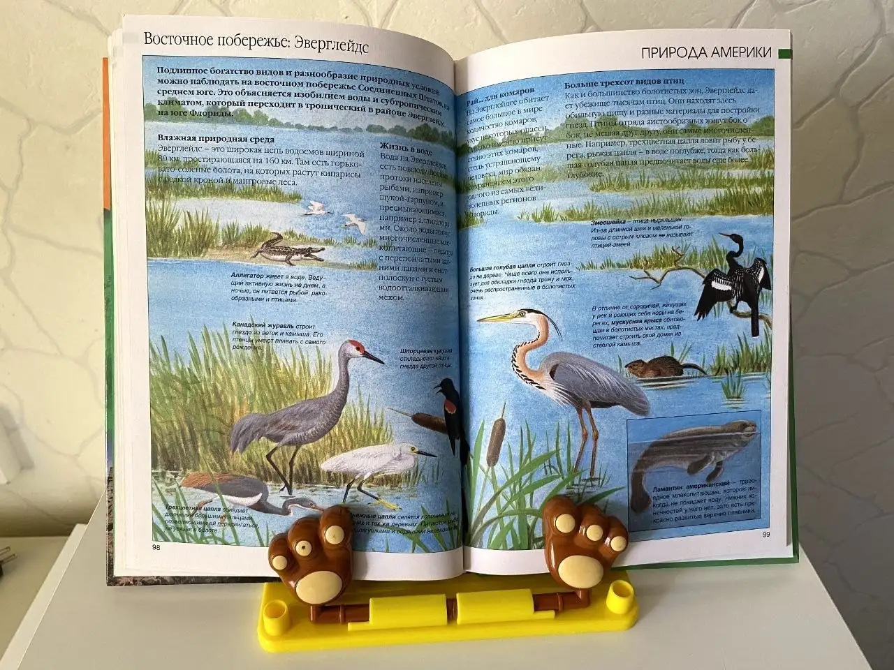 Подставка для учебников и металлическая копилка - Товары для детей в Люберцы