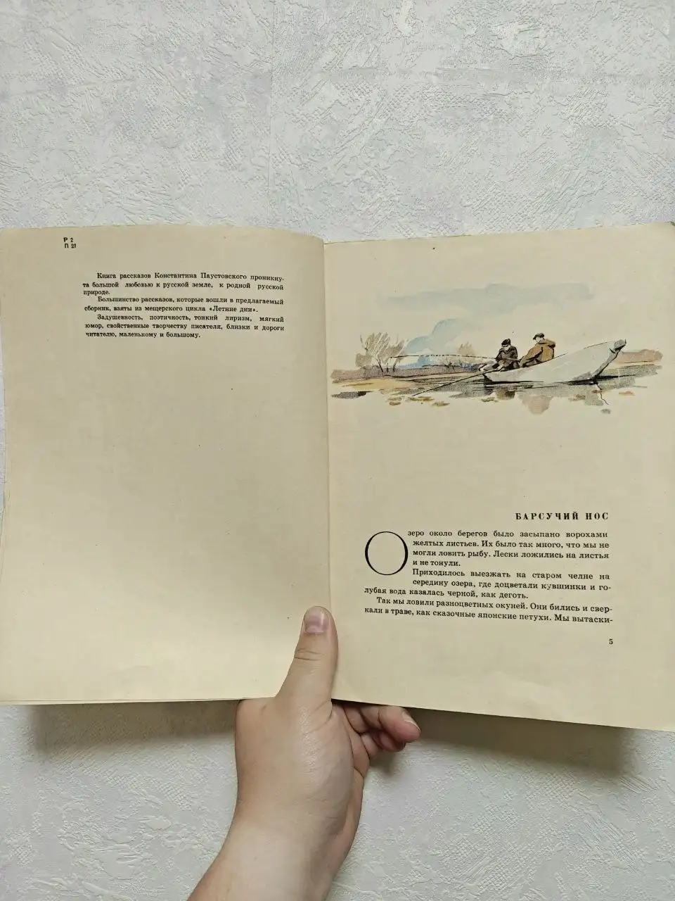 Золотой линь - Константин Паустовский - Книги (Барахолка) в Люберцы