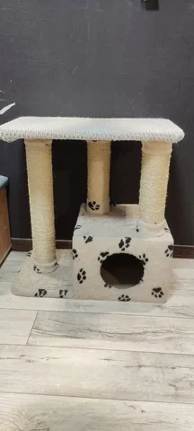 Продам когтеточку - Животные в Томск