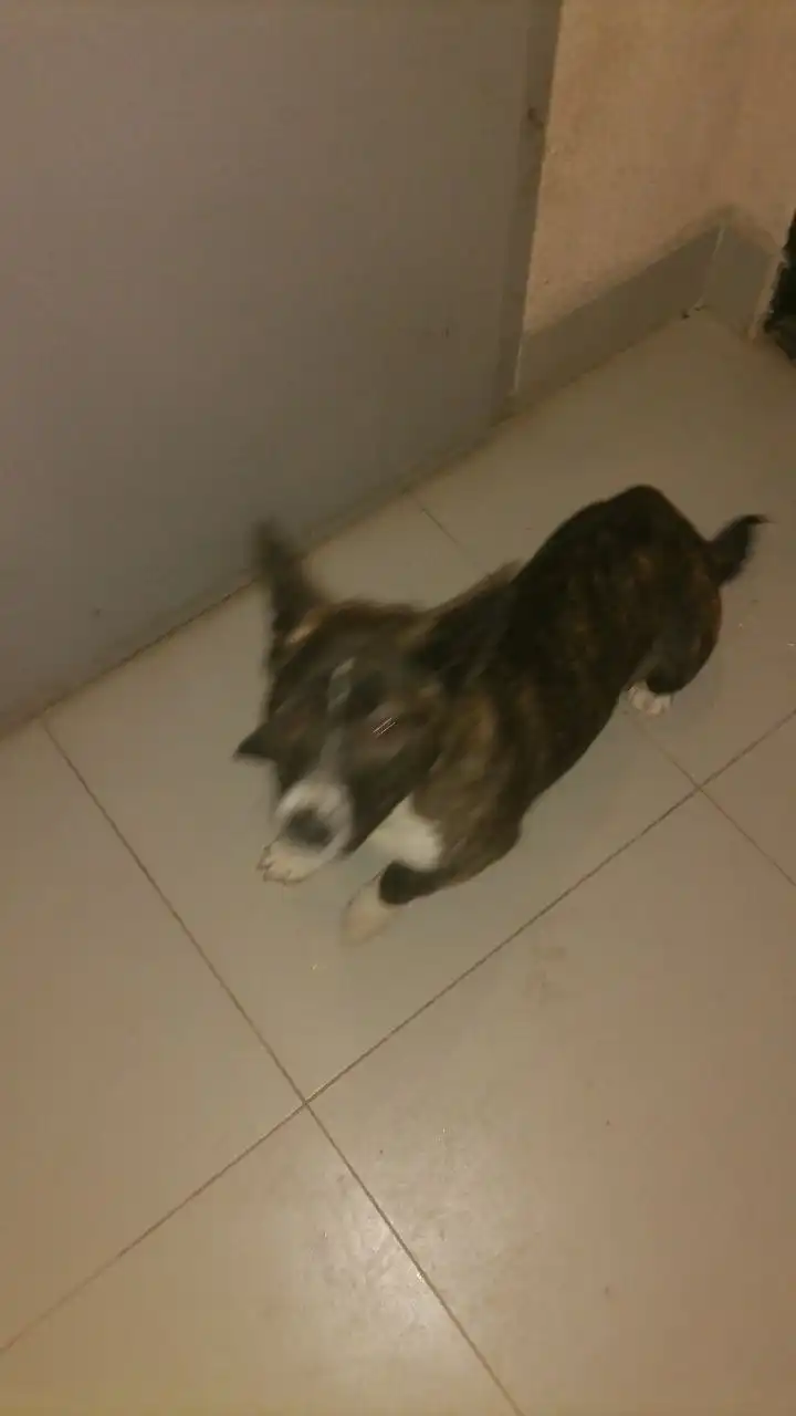 Находка на улице Речной