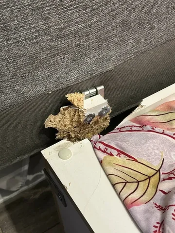 Ремонт сломанной спинки дивана - Услуги в Томск