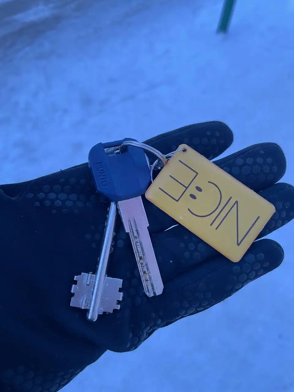 Найдены ключи возле дома