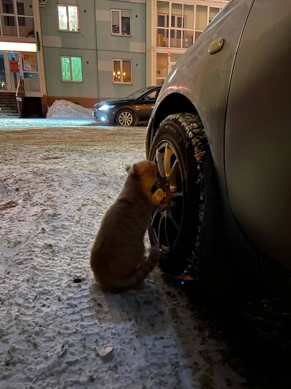 Потеряшка - Барахолка в Томск