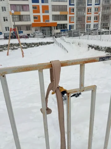 Найден пояс возле тарзанки Б 25 - Находки в Томск