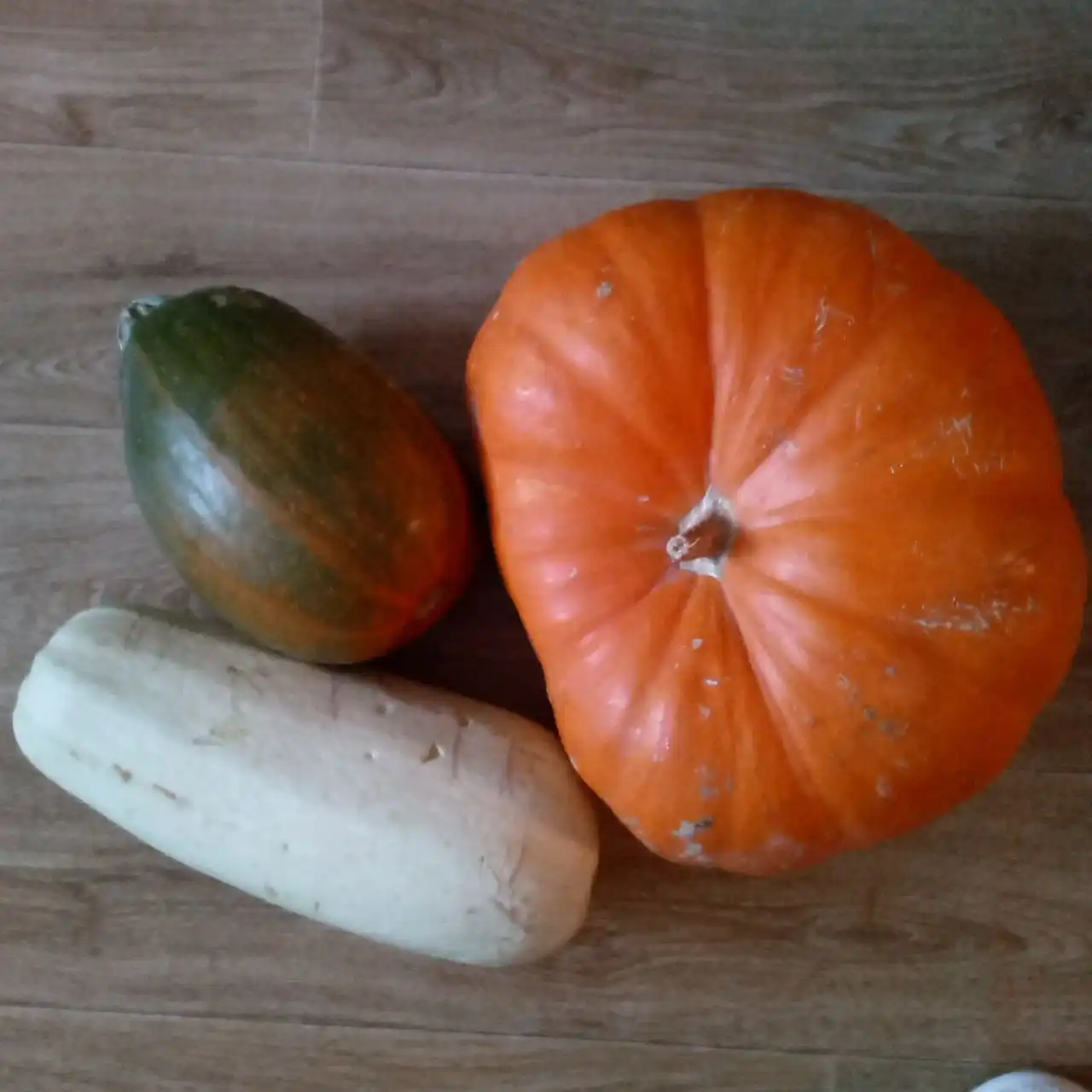 Продам тыкву и кабачки с собственного участка - Продукты питания (Барахолка) в Томск