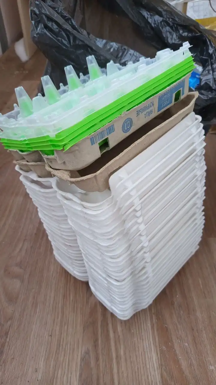 Ячейки под яйца отдам - Барахолка в Томск