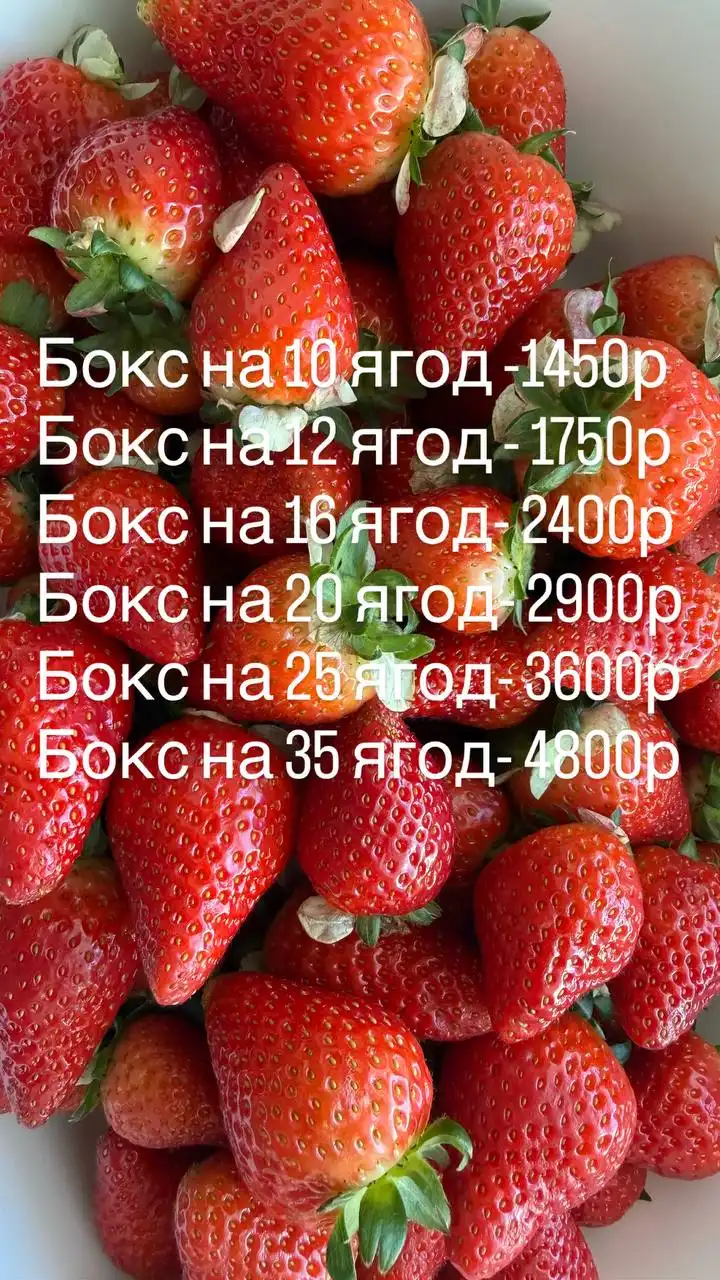 Объявление о приёме заказов в Томске - Барахолка в Томск