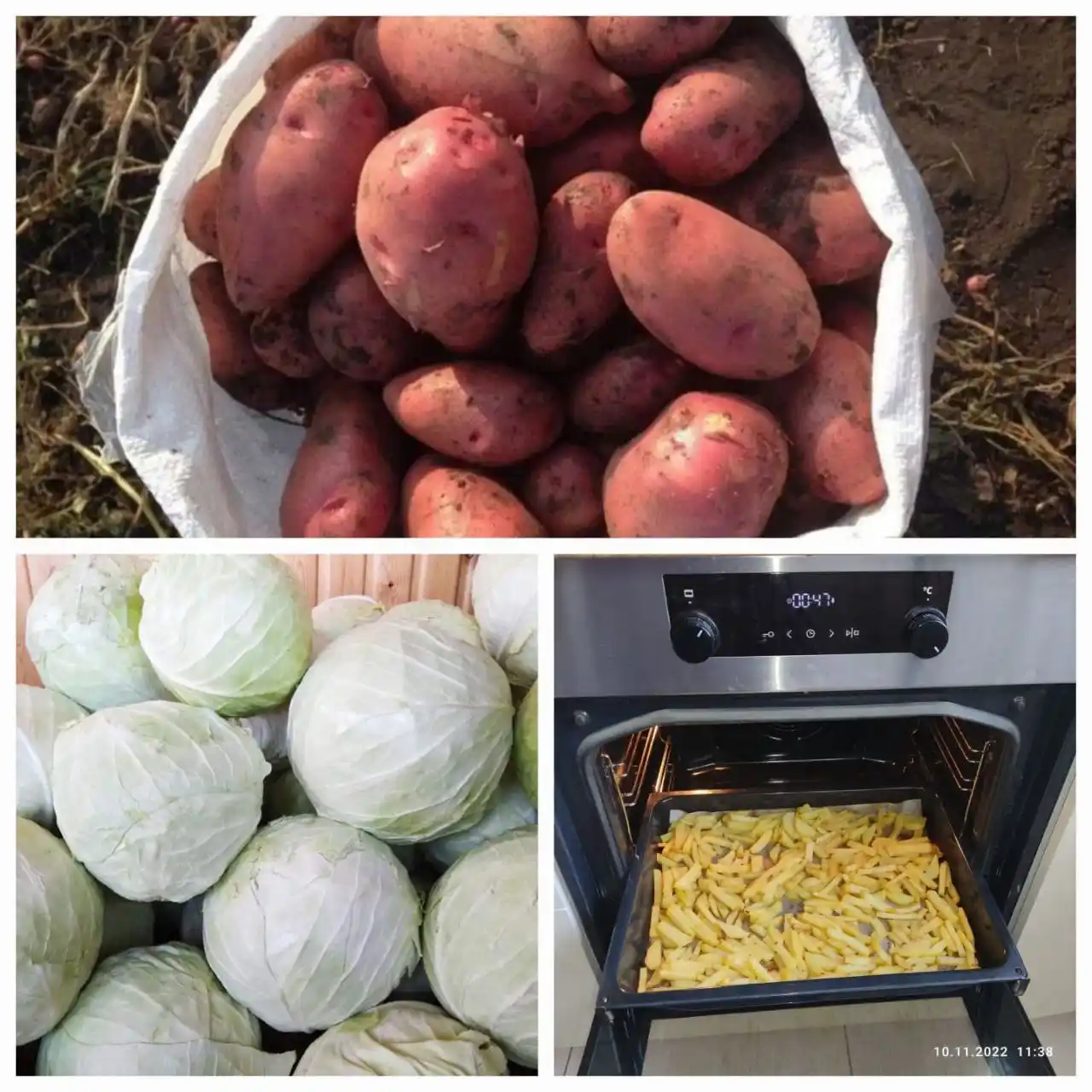 Продажа местной картошки и капусты