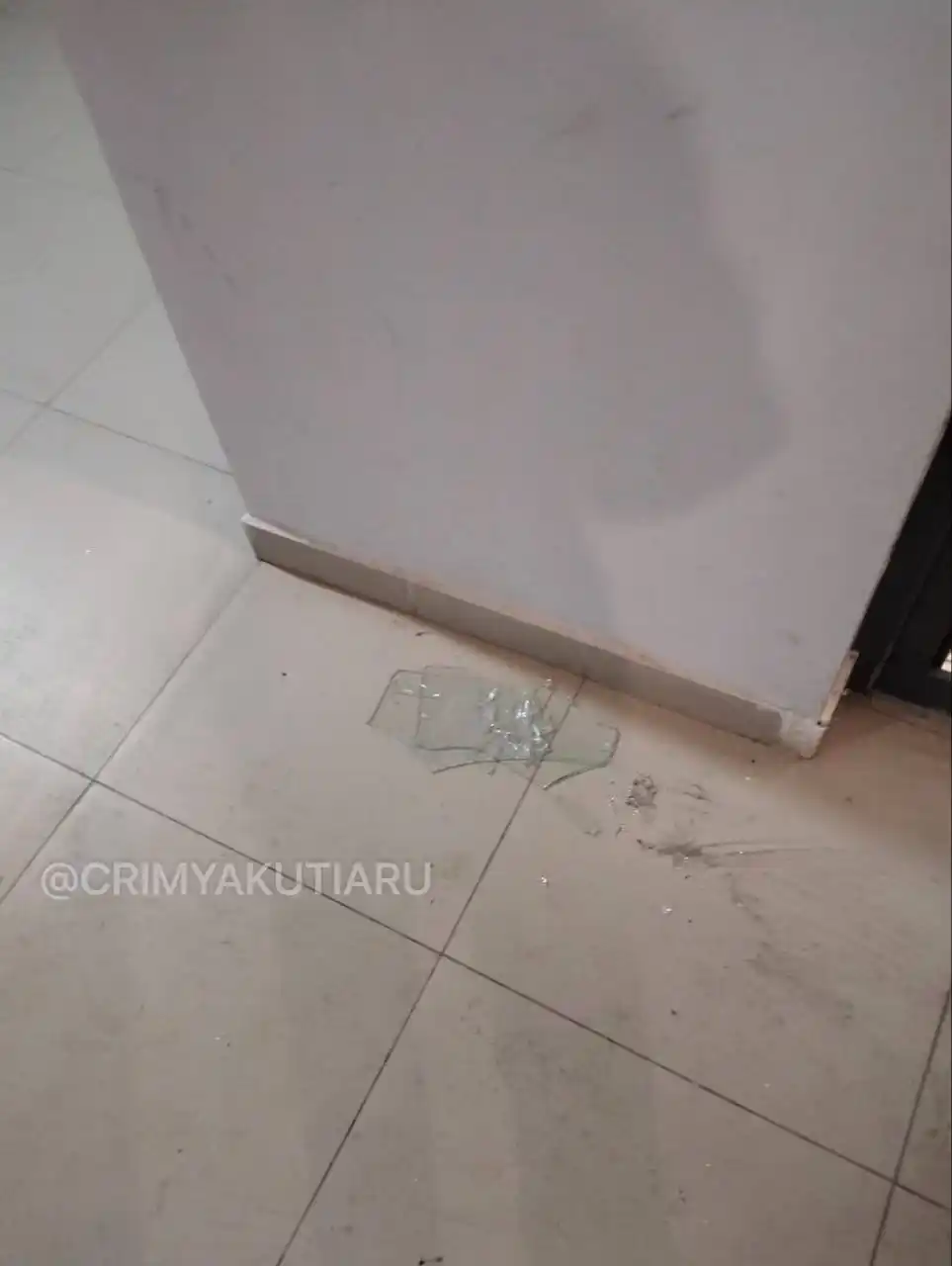 Ночной инцидент в микрорайоне Звездный