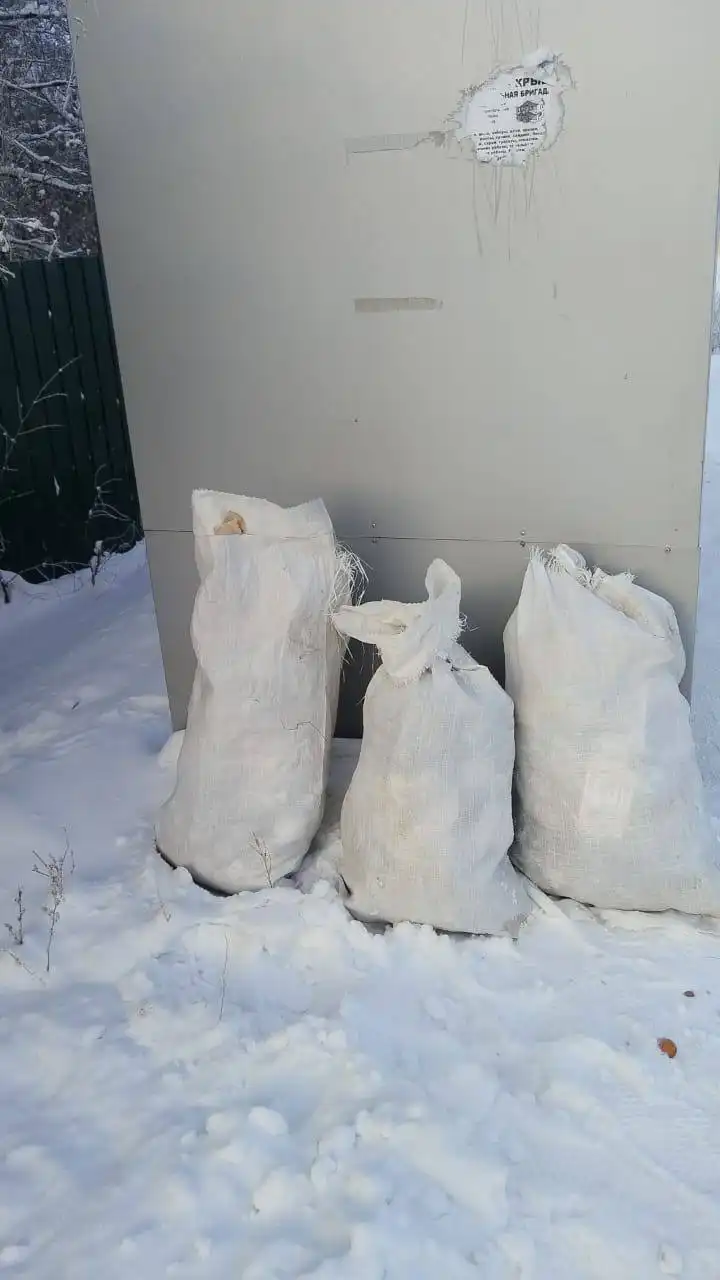 Работа муниципальных дворников по уборке снега и мусора