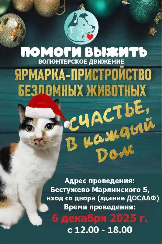 Зимняя ярмарка-пристройство бездомных животных «Счастье в каждый дом»