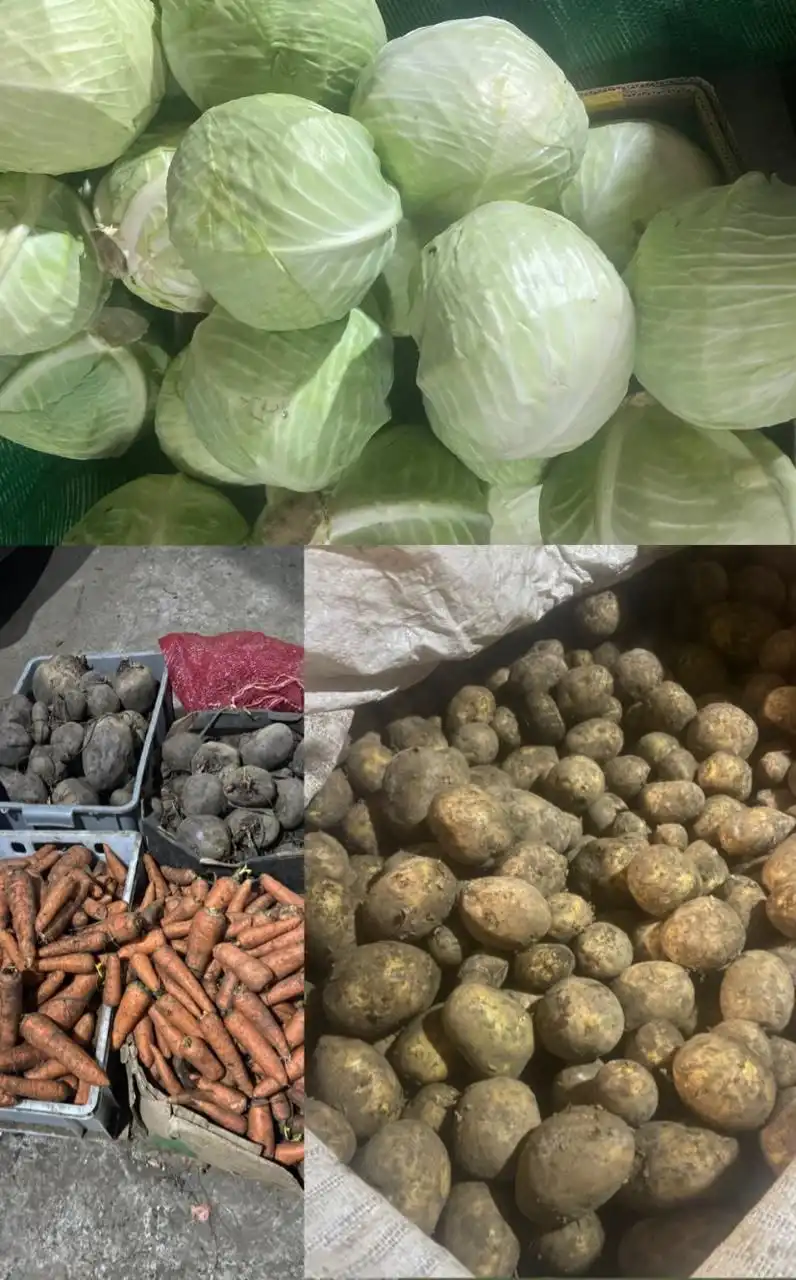 Продажа овощей с доставкой: картофель, капуста, морковь, свекла, лук