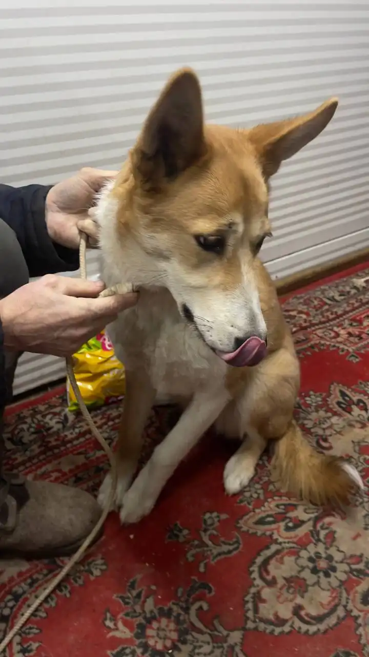 Продажа автомобиля в Якутске