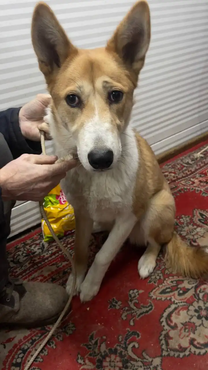 Продажа автомобиля в Якутске