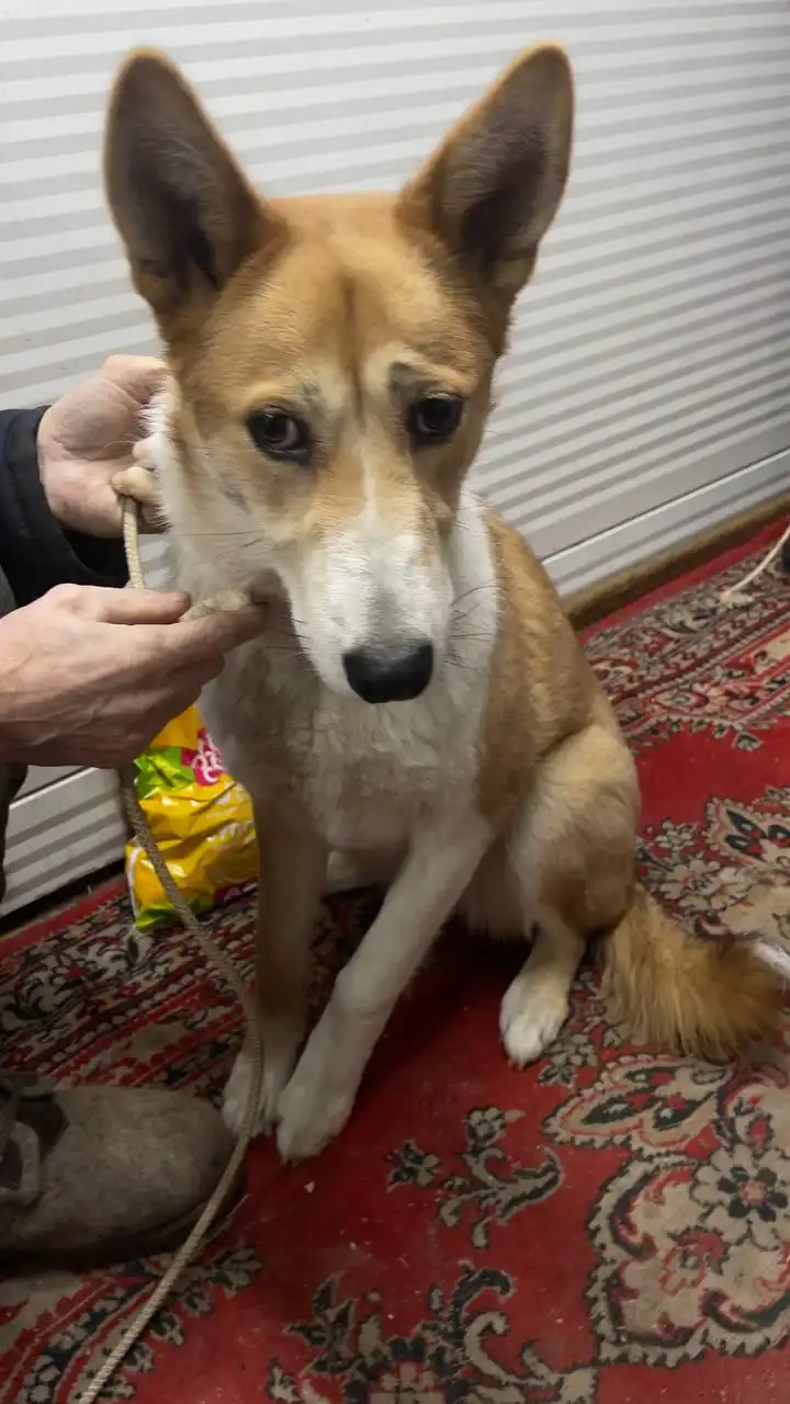 Продажа автомобиля в Якутске