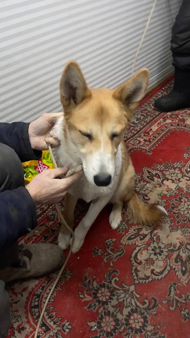 Продажа автомобиля в Якутске