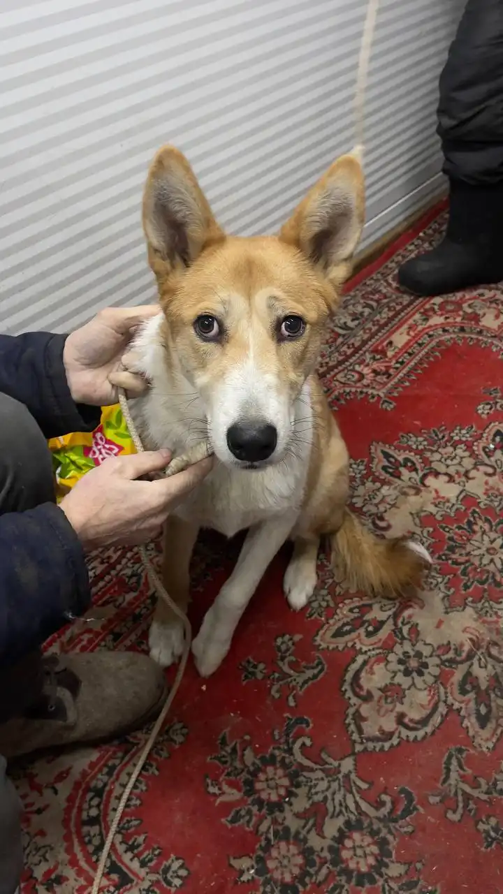 Продажа автомобиля в Якутске