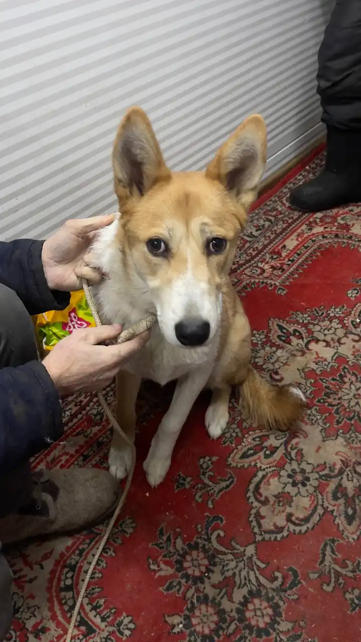 Продажа автомобиля в Якутске