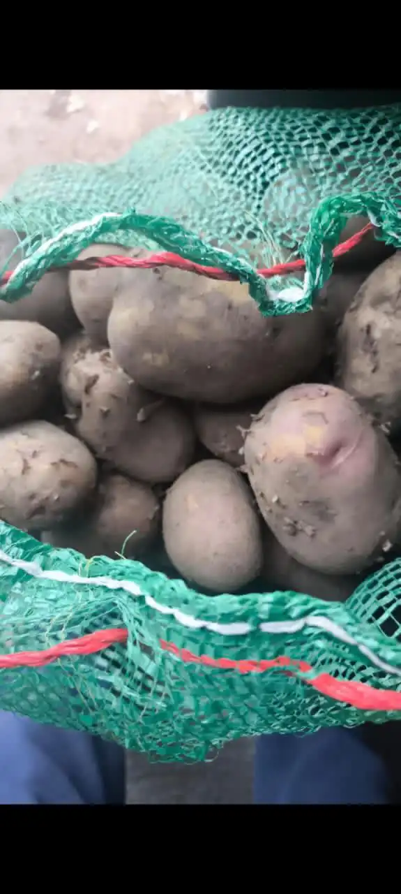 Продажа овощей в Хангаласском улусе