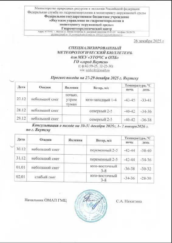 Прогноз погоды на Новый год в Якутске