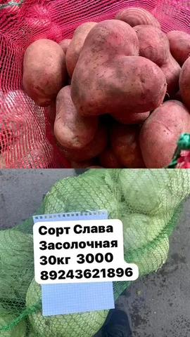 Продажа деревенских овощей в Якутске - частное объявление в Якутск