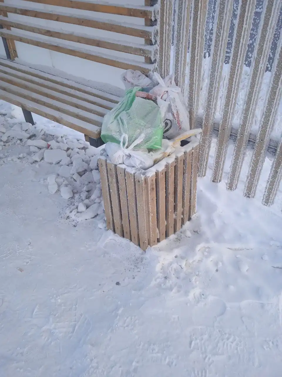 Состояние остановки Ботанический сад в Якутске