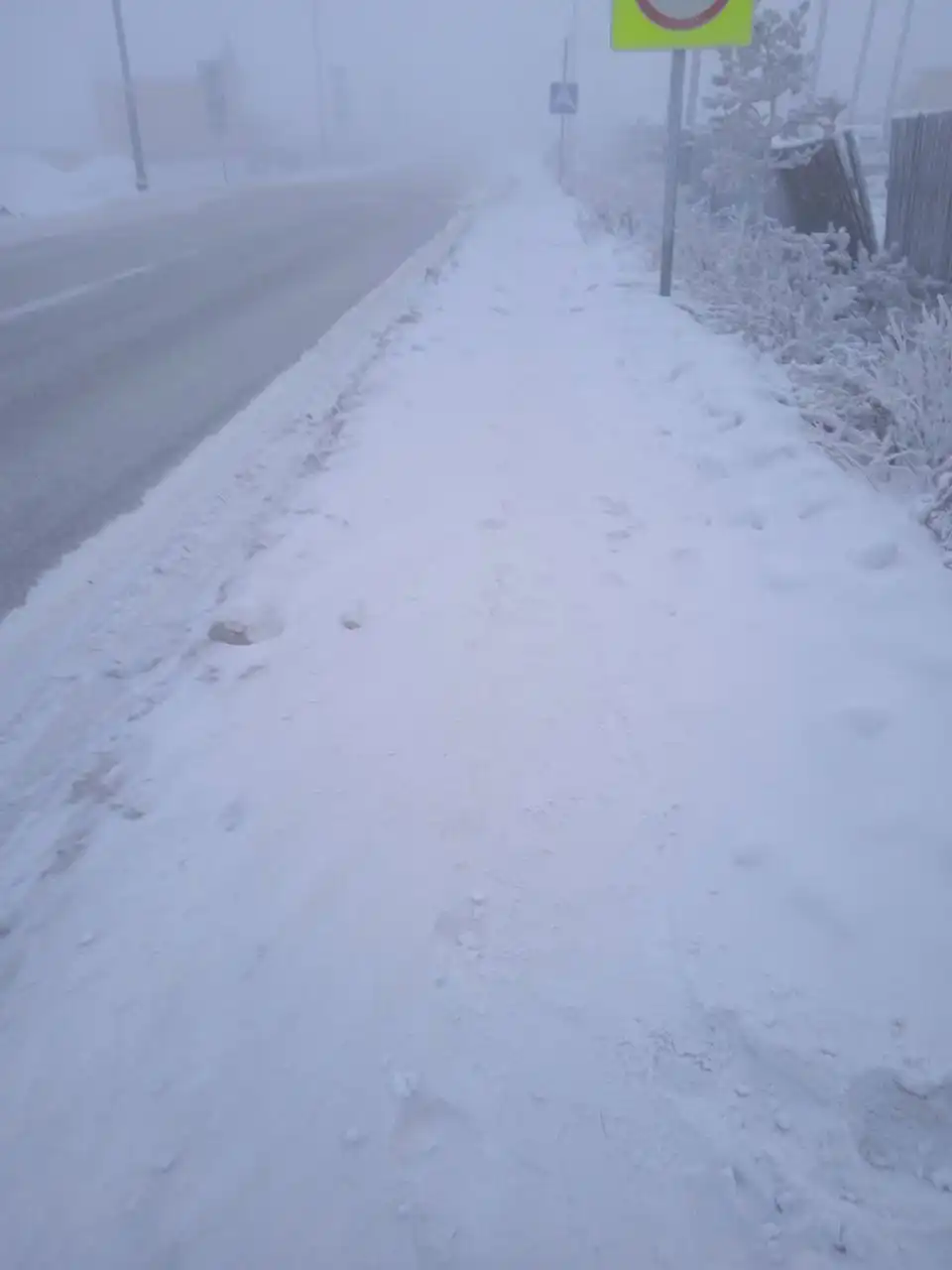 Состояние остановки Ботанический сад в Якутске