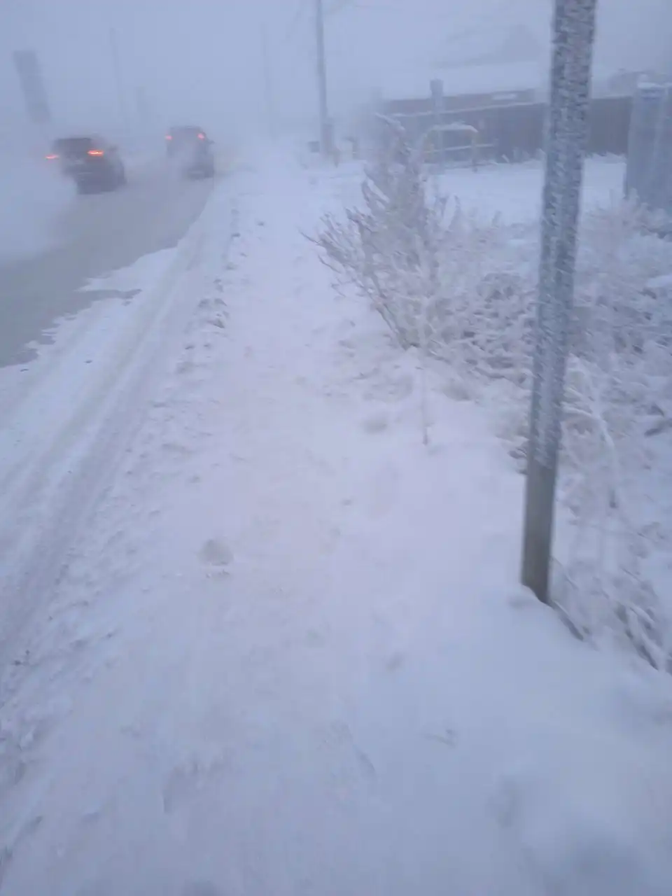 Состояние остановки Ботанический сад в Якутске